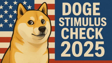 Doge Stimulus Check 2025